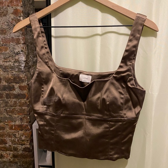 Aritzia Tops - Aritzia Babaton Shine Bustier